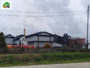 Status Karyawan Berubah, Manajemen PT PMG Bungkam