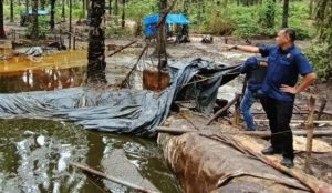 Polda Jambi Buru Pemodal 50 Sumur Ilegal di Kebun Sawit Seluas 5 Hektar
