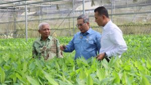 Wamentan Ingatkan Pentingnya Hilirisasi Melalui BUMD di Asahan