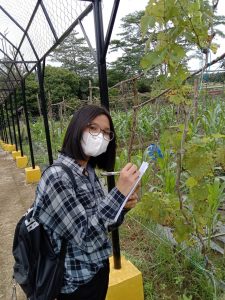 Kemelut Angkutan Tambang Batu Bara di Provinsi Jambi