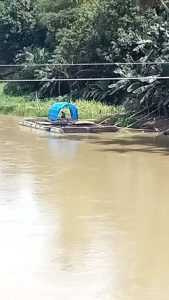 Pembudidaya Ikan Kerambah di Merangin Ancam Laporkan Kadis Peternakan ke Kejaksaan Terkait Pengurangan Pakan Ikan