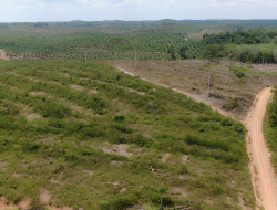 Persoalan Yang Menyeret Aspan Menuntut Profesionalitas Varial Adhi Putra