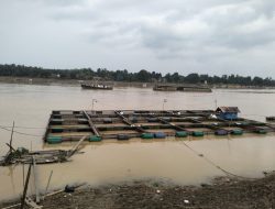 Ironi Sungai Batanghari: Dari Tongkang Batu Bara, Pencemaran Limbah Hingga Tergerusnya Mata Pencaharian Masyarakat