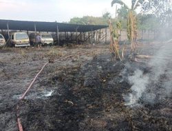 Gudang Bus Bekas IMI Kebakaran, Diduga Karena Puntung Rokok