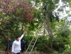 Warga Pauh Sarolangun Dihebohkan Dengan Temuan Mayat Tergantung di Pohon Karet