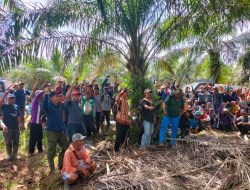 Lahan Transmigrasi Diserobot Mafia, Masyarakat Gambut Jaya Duduki Lahan