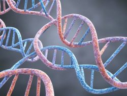 DNA: Kunci Memahami Warisan Penyakit dan Potensi Kesehatan Anda